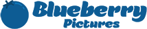 Logo Blueberry light blue